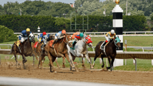 Daily Betting Insights Todays Best Bets Expert Picks for Smart Betting