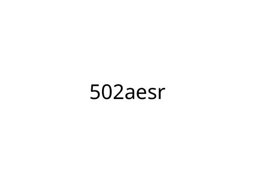 502aesr