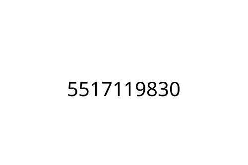 5517119830