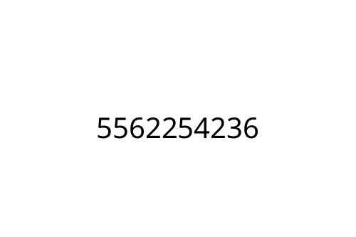 5562254236