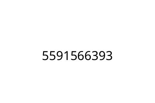 5591566393