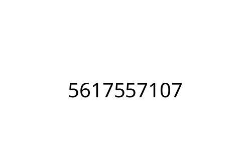 5617557107