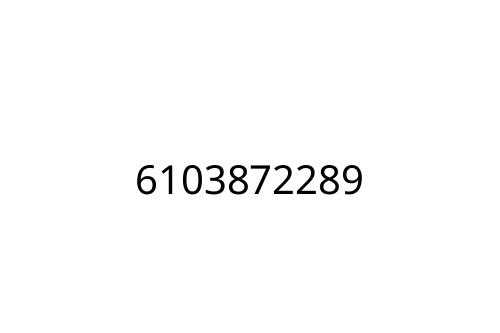 6103872289