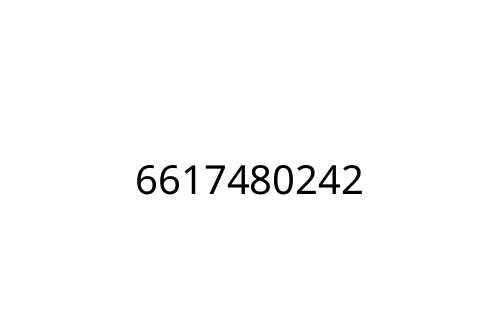 6617480242