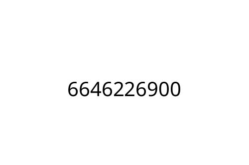 6646226900