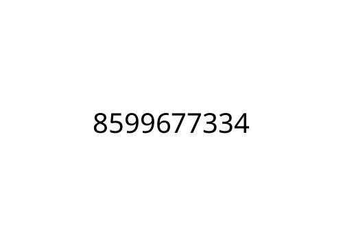 8599677334