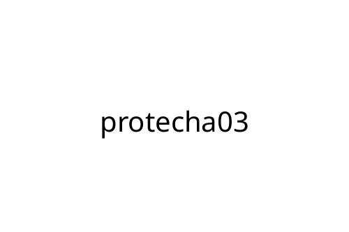 protecha03