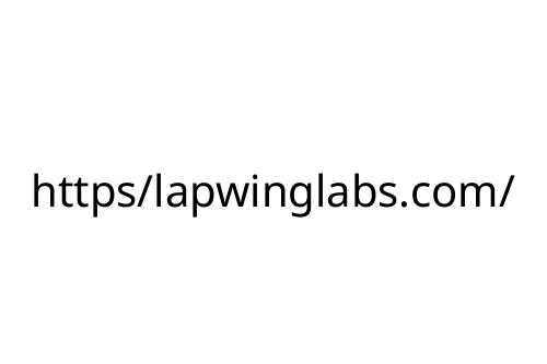 https_lapwinglabs_com_