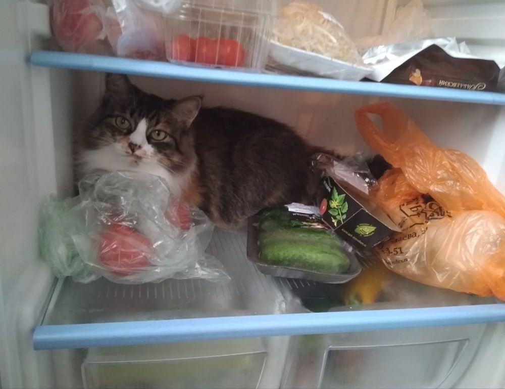 grs uine28.6 error codes