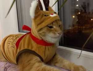 how uninstall shotscribus software in mac