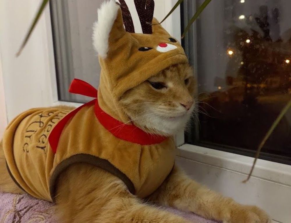 how uninstall shotscribus software in mac