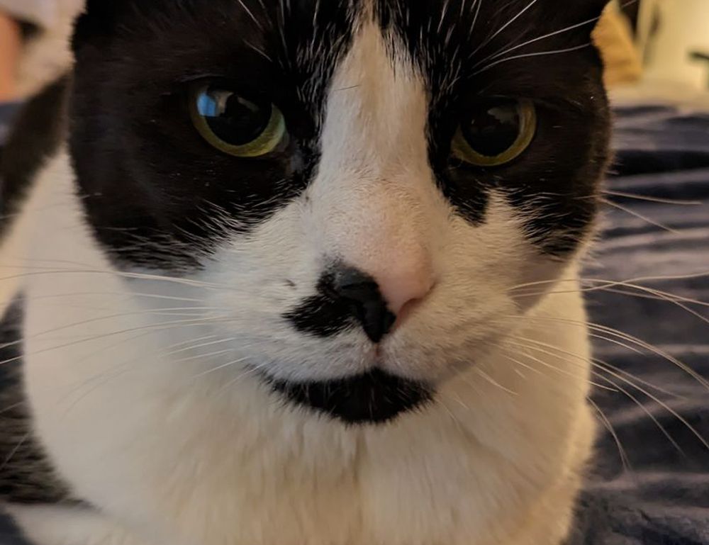 what is a game rogrand525 launcher pc