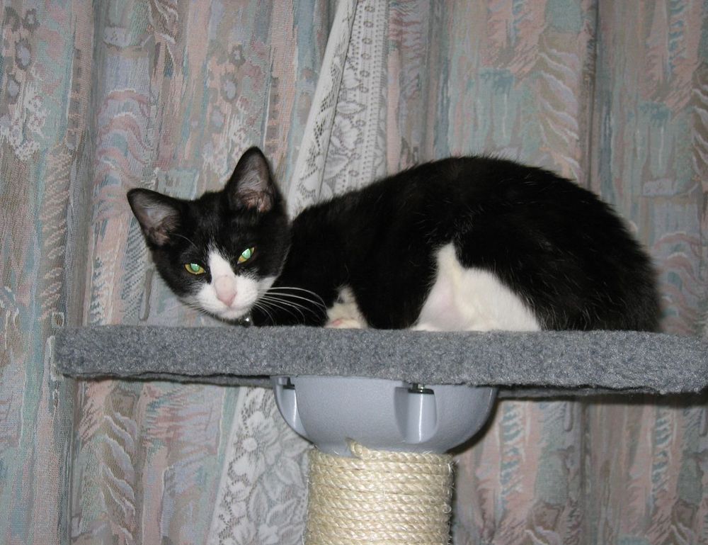 23000 pesos mexicanos a chilenos