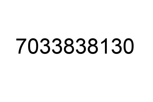 7033838130