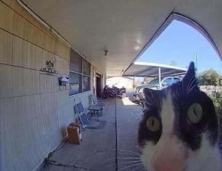 80 uf a pesos chilenos