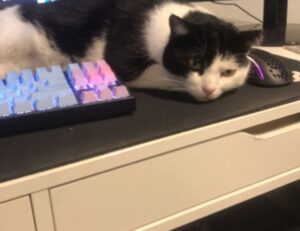 cameraman skibidi dibujo para colorear