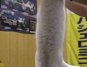 casimir schmidt vriendin