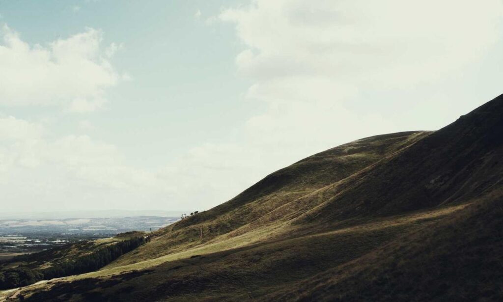 chabuca granda dibujo animado