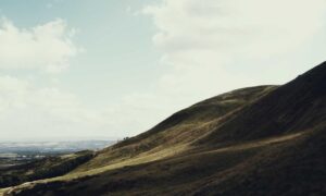 chabuca granda dibujo animado