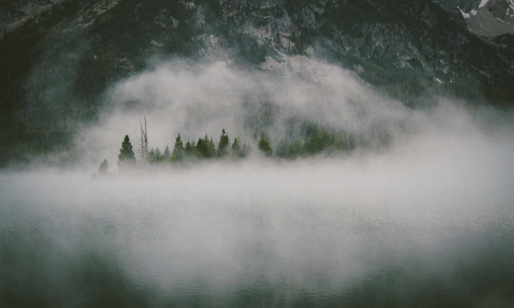 chabuca granda dibujo animado