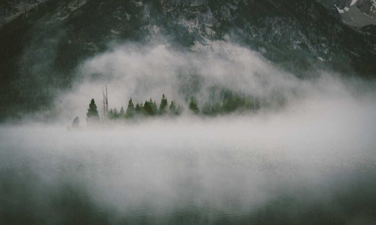 chabuca granda dibujo animado