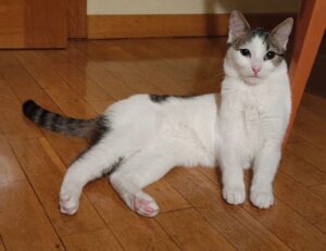 emma heesters onlyfans