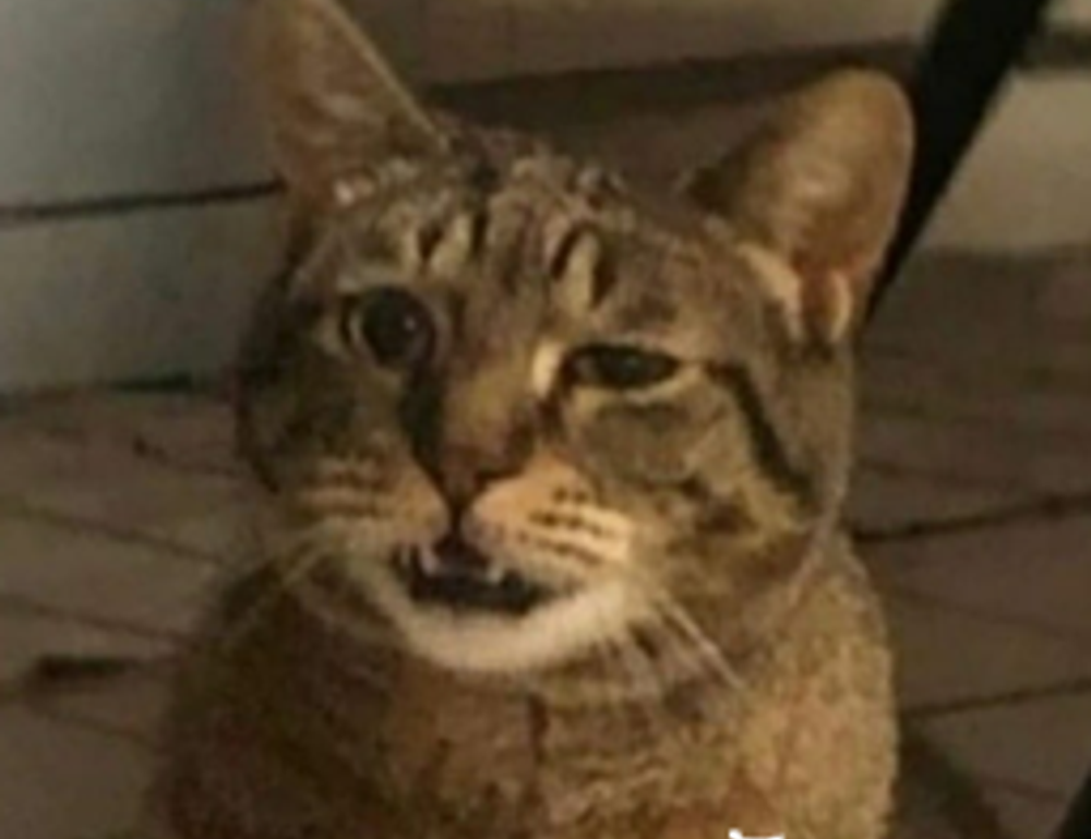 feliz dia de la madre fallecida imagenes