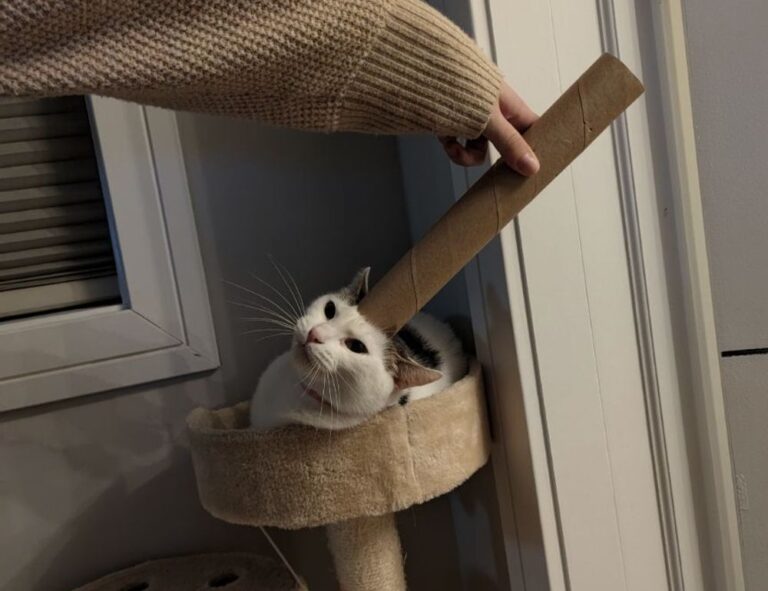 grecas en la nuca hombre