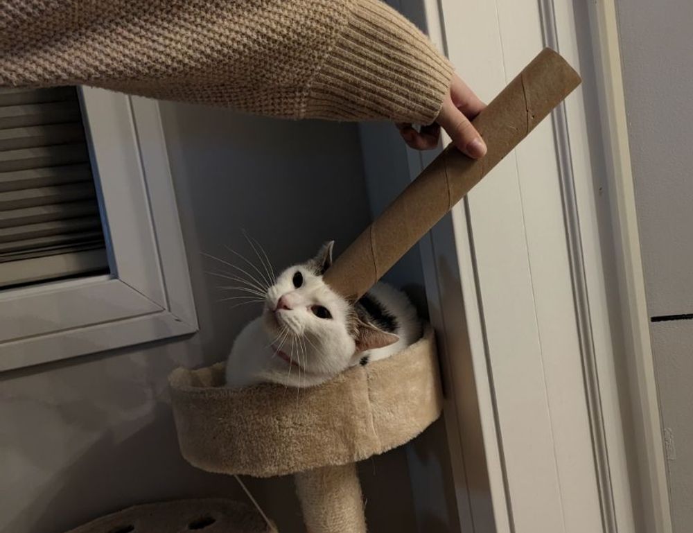 grecas en la nuca hombre