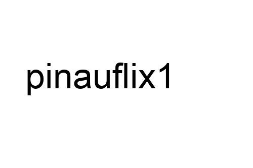 pinauflix1