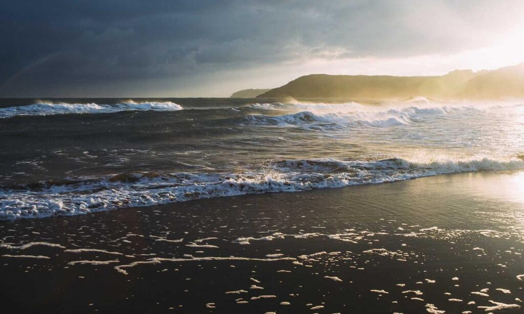 reborn as the enemy prince sub indo