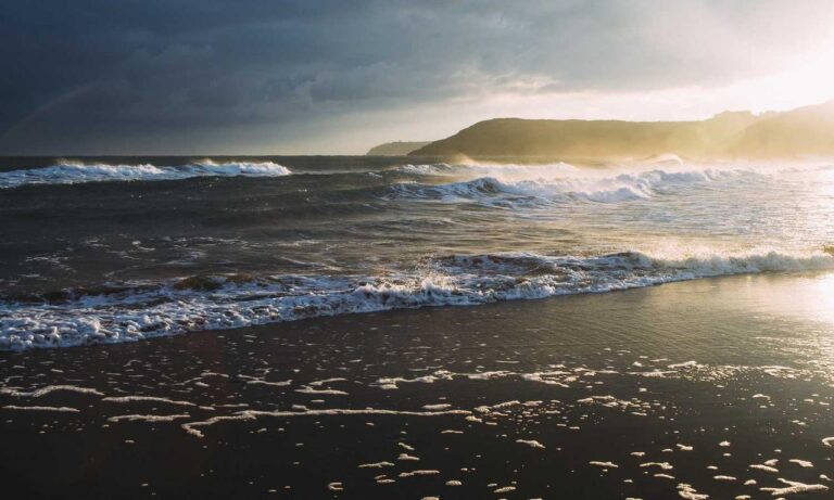 reborn as the enemy prince sub indo