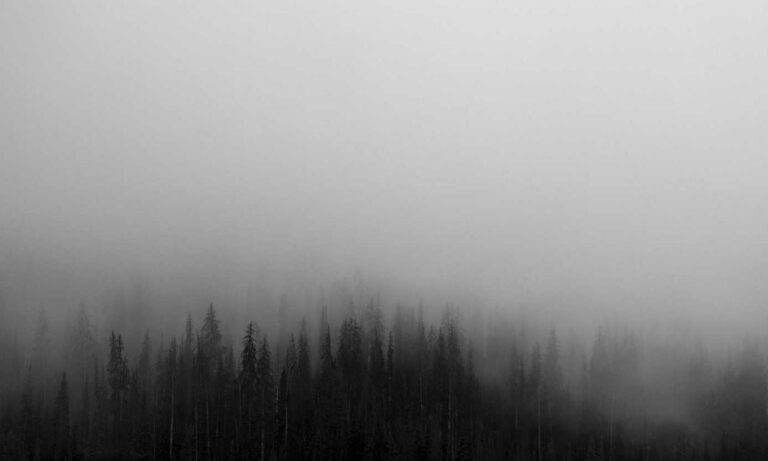 tamilyogi. vip home page