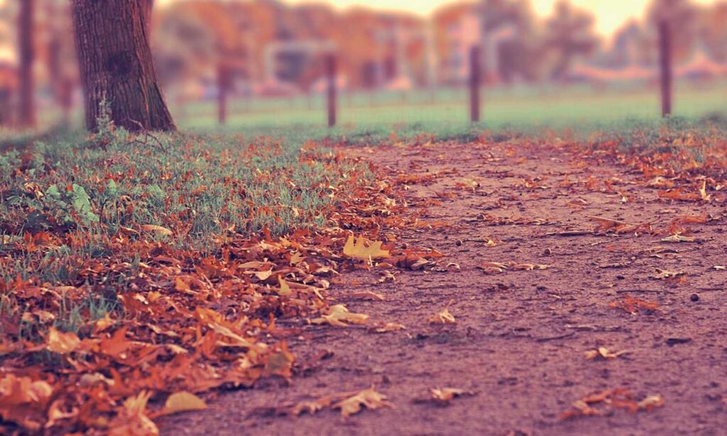 tarjetas de feliz sabado graciosas