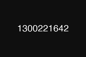 1300221642