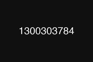 1300303784