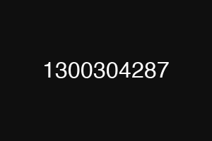 1300304287