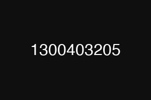 1300403205