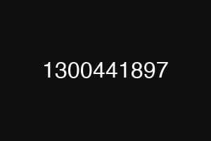 1300441897