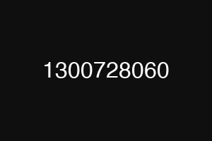 1300728060