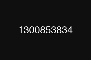 1300853834