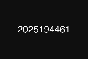 2025194461
