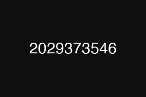 2029373546
