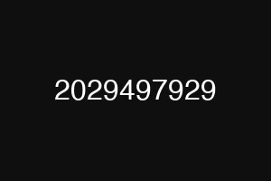2029497929