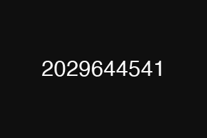 2029644541