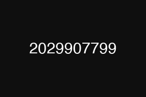 2029907799