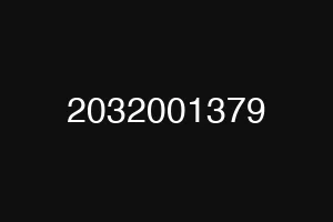 2032001379