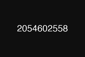 2054602558