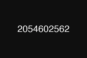 2054602562