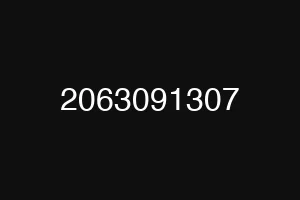 2063091307